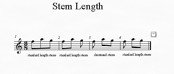 Stem Length.jpg