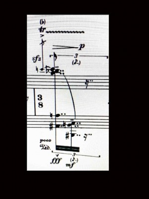 Ferneyhough tuplet.jpg