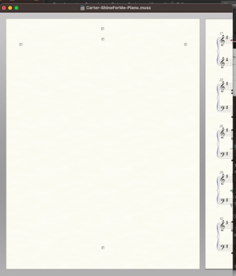 Blank Page.png